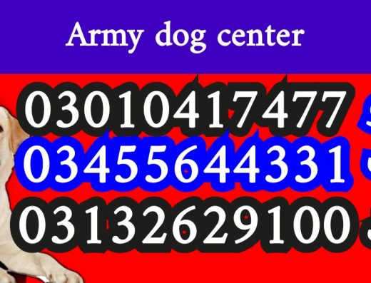 Army dog center rawalpindi 03455644331