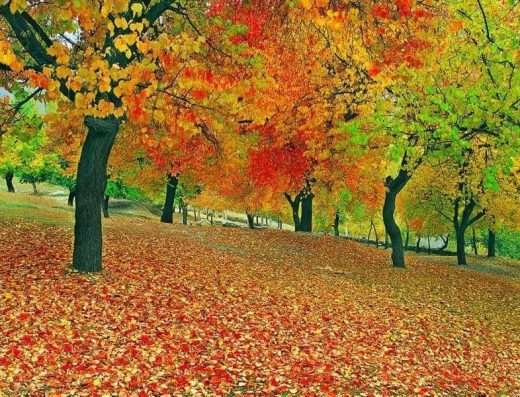 Pakistan Packages Tour