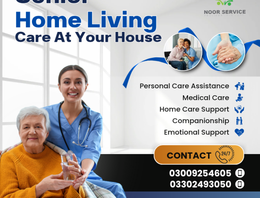 Noor Services provider Pvt ltd