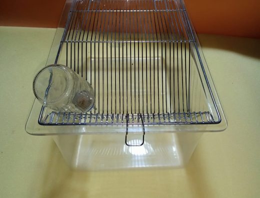 Crocus Scientific trading