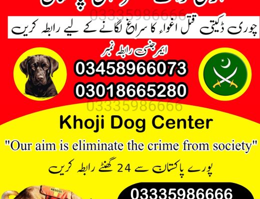 Army dog center Multan