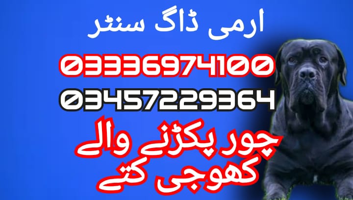 Army dog center karachi