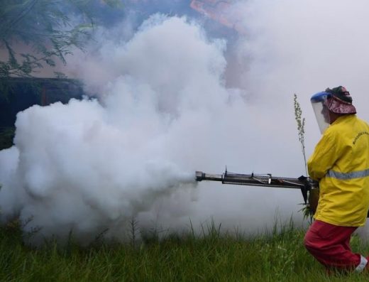 One Roof Fumigation Services