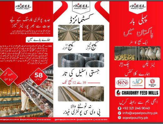 Aqeel Poultry Cages