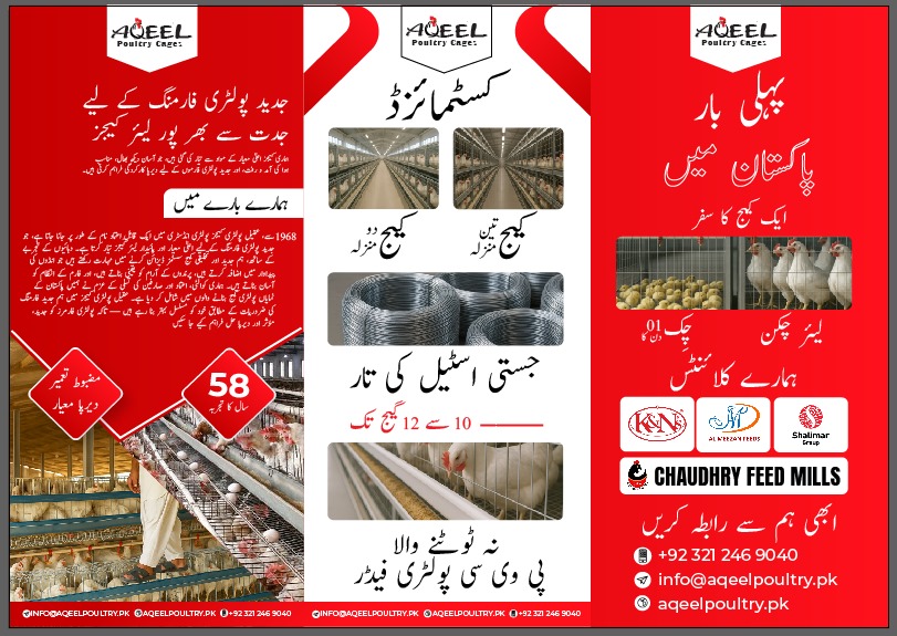 Aqeel Poultry Cages