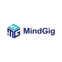 Mindgig