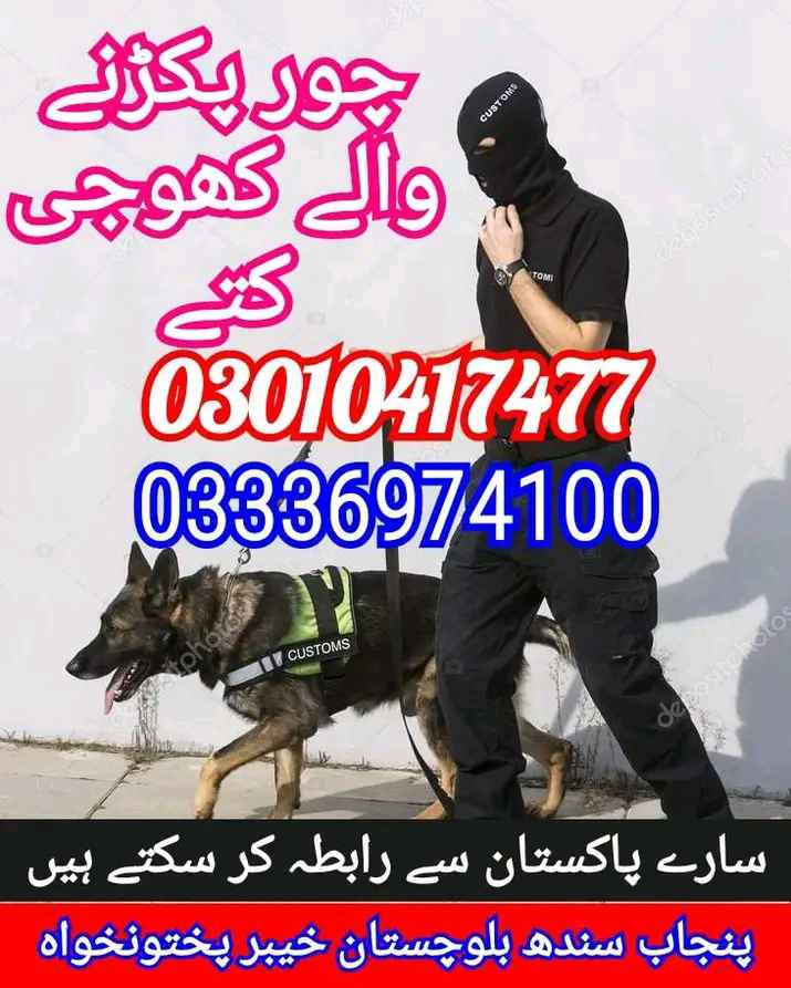Army dog center Mirpur