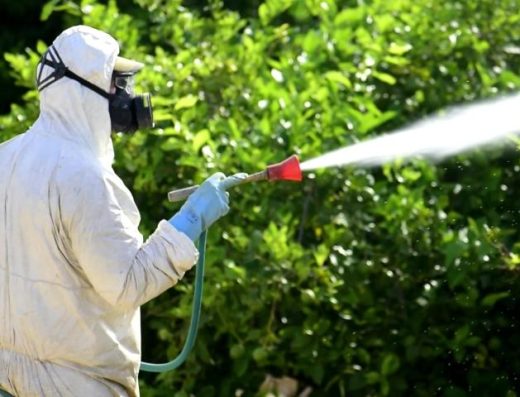 Termite Expert