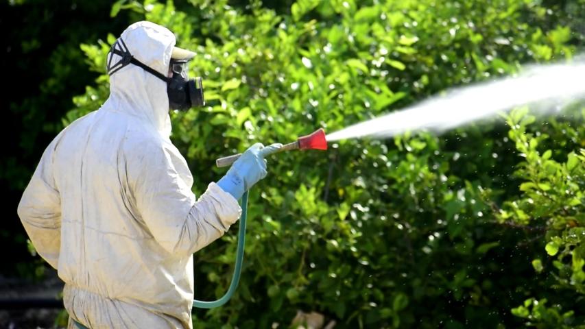 Termite Expert
