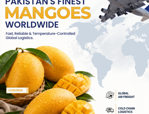Acro Shipping and Logistics