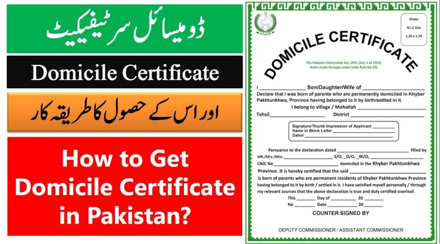 How to Apply for Domicile Certificate Online in Pakistan