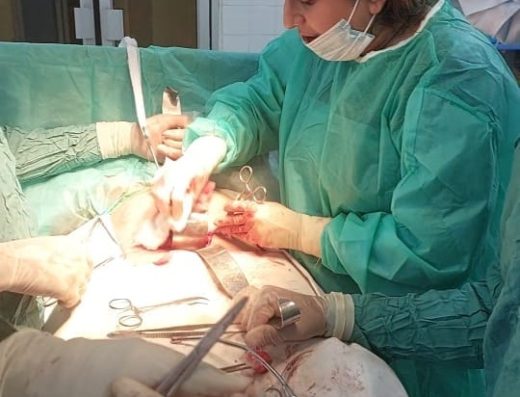 Hina’s Clinic