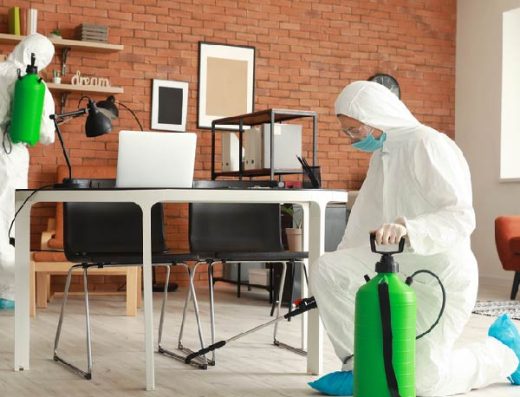 Venuspest Solution (PVT), Ltd