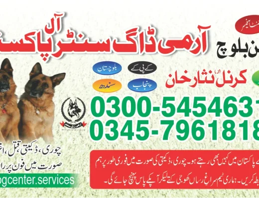 Army Dog Centre