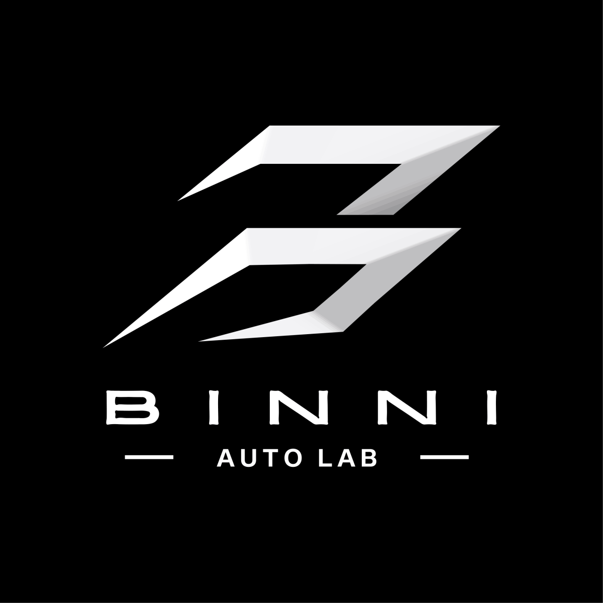 Binni Auto Lab