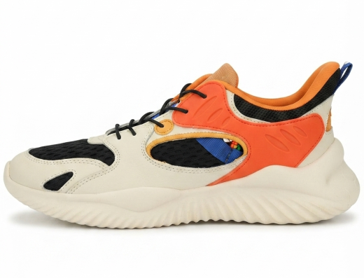 Shoe Gali