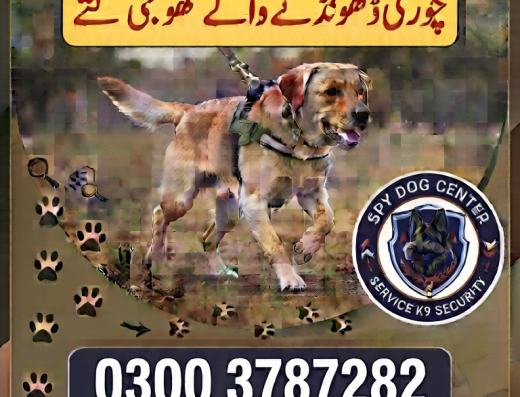 Army dog center okara