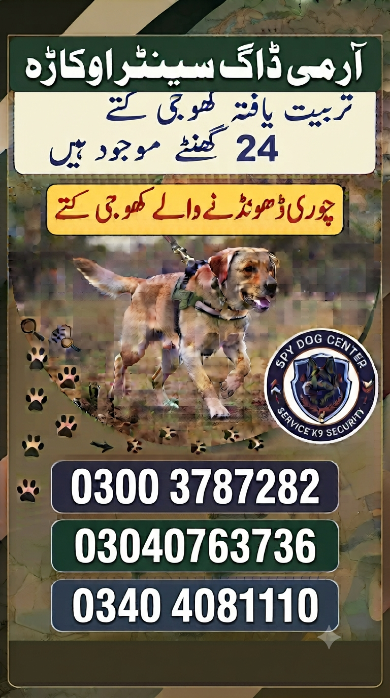Army dog center okara