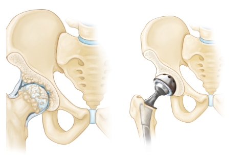 OrthoCenter