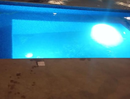 The Pool Guy