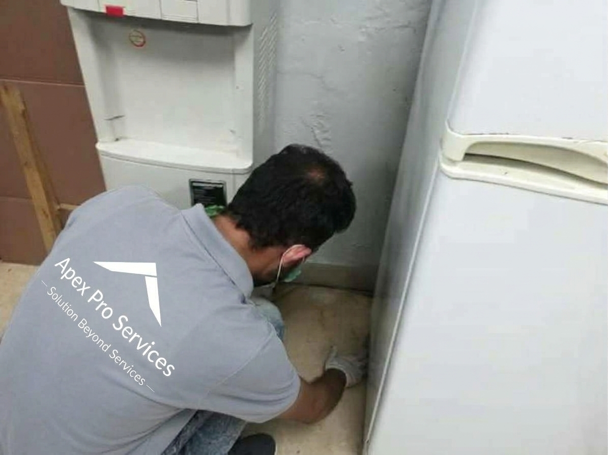 Apex Pro Services